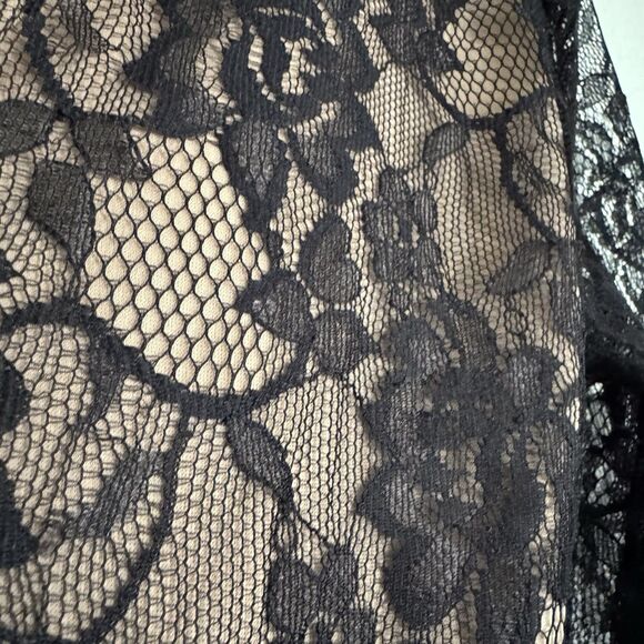 Adrianna Papell L41315 Women's Black Lace Bodice Banded Sheath Dress Size 4P - Picture 4 of 15